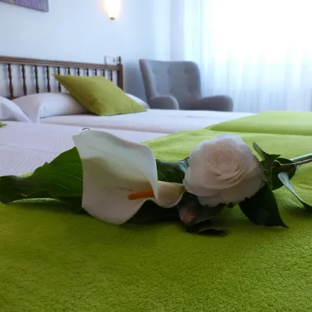 Pereirina Guest house Cee