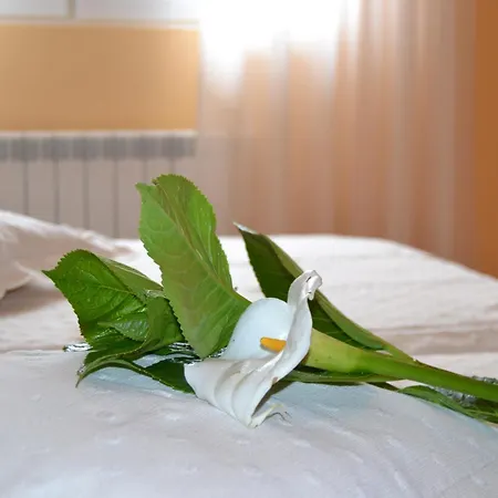 Guest house Pereirina