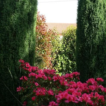 Guest house Pereirina 2*