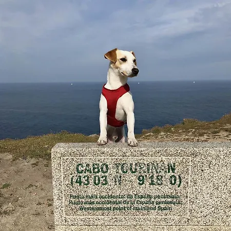 Pensionat Pereirina Cee