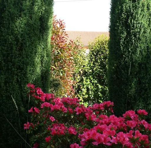 Konukevi Pereirina 2*