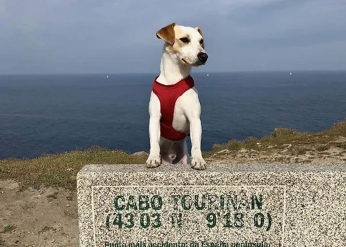 Konukevi Pereirina Cee